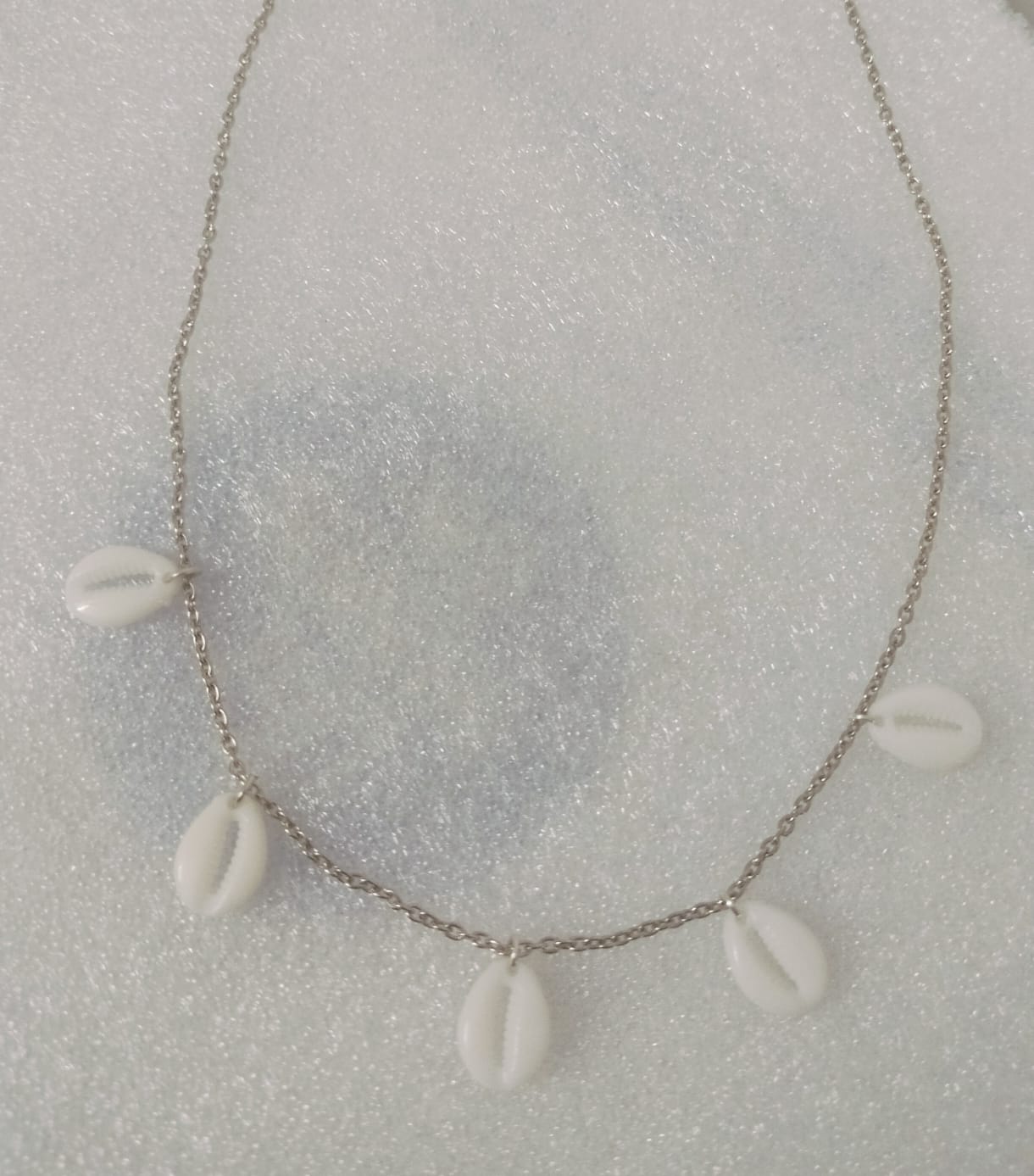 Cowrie Shell Charm Necklace – Silver Chain